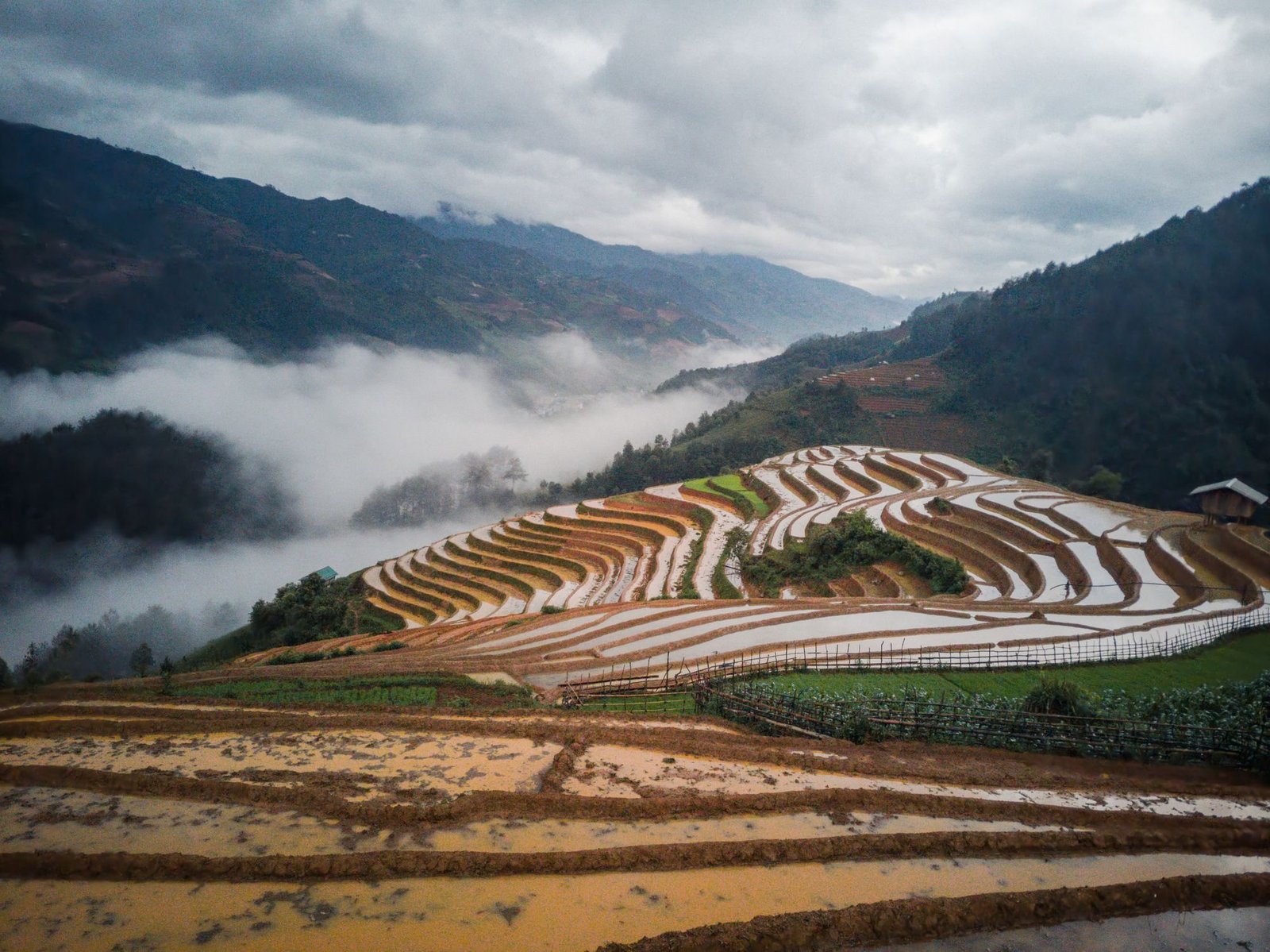 Terraced rice fields in morning mist (illustrative photograph)